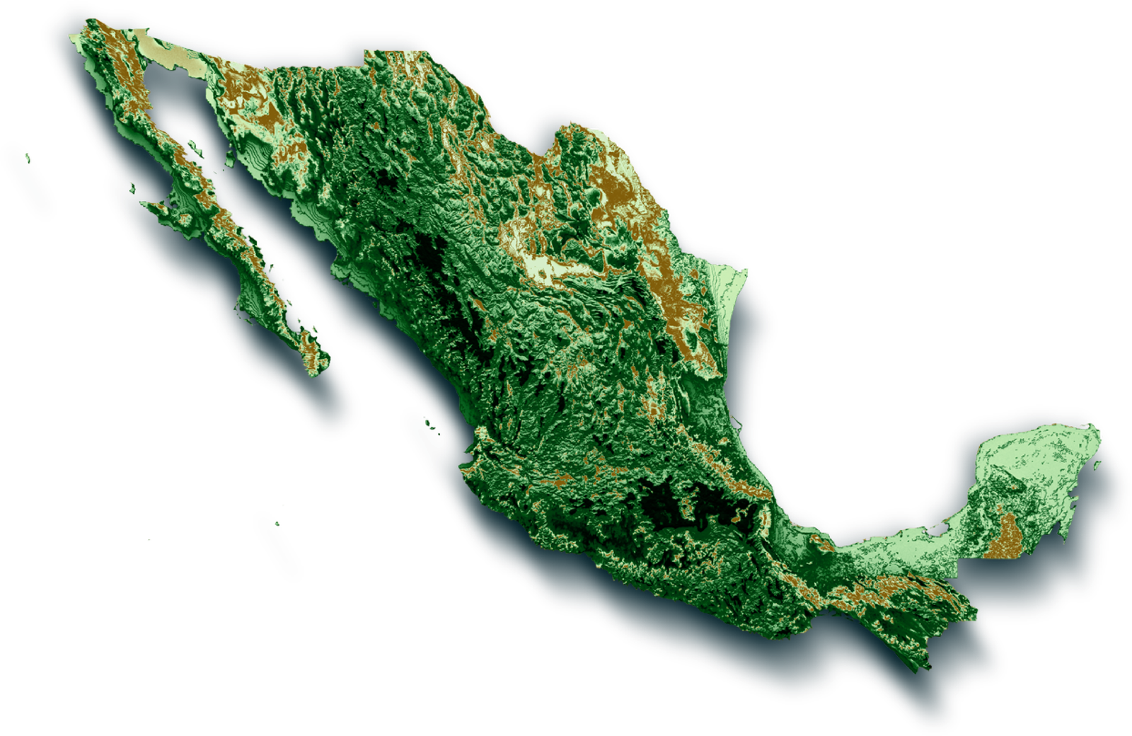 Mapa de sucursales CAFFENIO en México